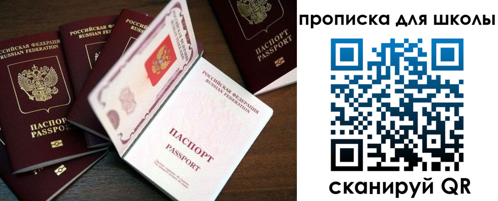 временная регистрация 2025 в Светлом